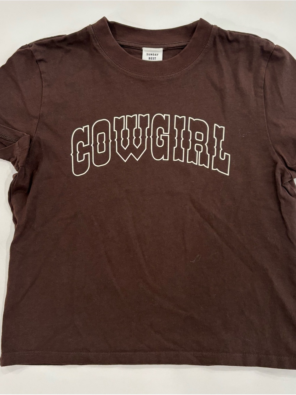 Aritzia Sunday Best “Cowgirl” Embroidered T-Shirt – Brown | Size 2XS (Fits XS)